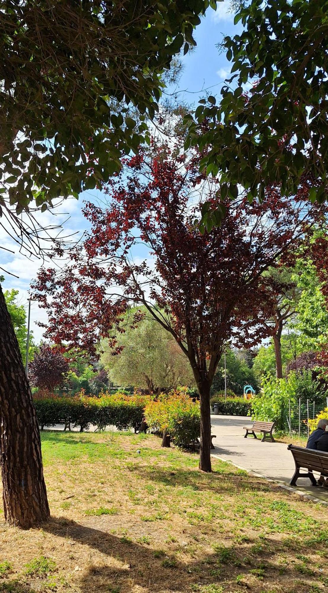 Apartmán La Casa Di Viola Řím Exteriér fotografie